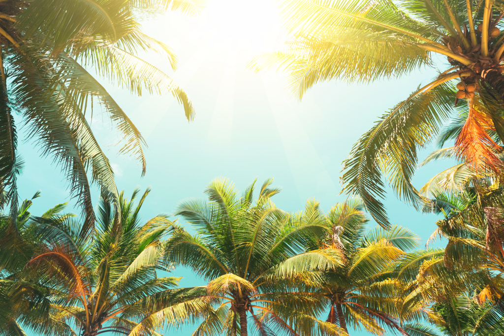 Неделя бухгалтерского и налогового учета в Сочи